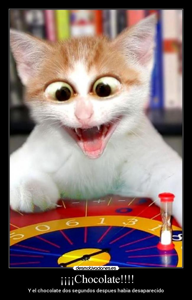 ¡¡¡¡Chocolate!!!! - Y el chocolate dos segundos despues habia desaparecido