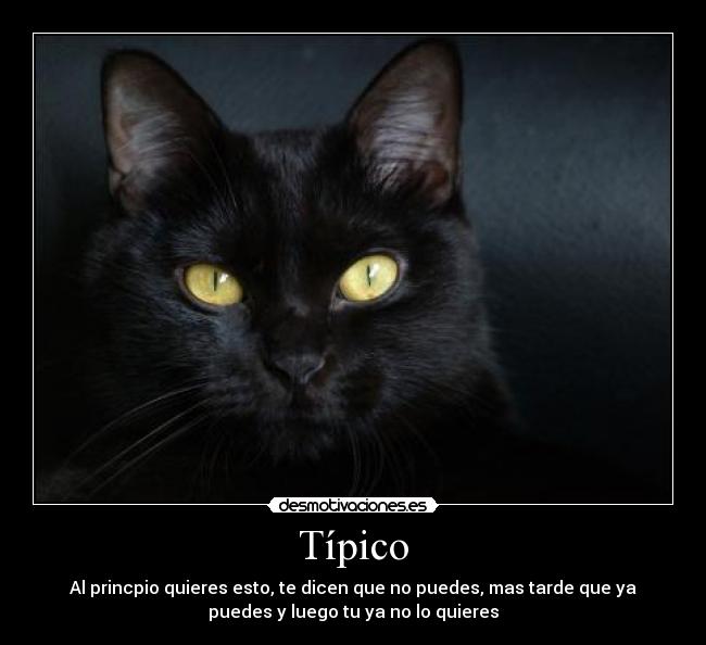 Típico - Al princpio quieres esto, te dicen que no puedes, mas tarde que ya
puedes y luego tu ya no lo quieres