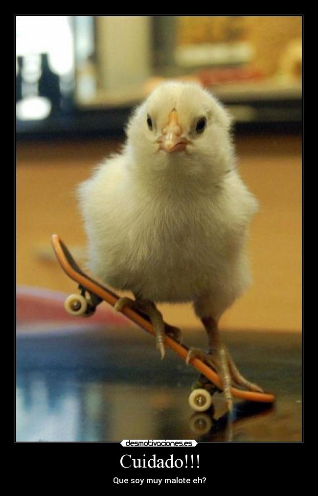 Cuidado!!! - Que soy muy malote eh?