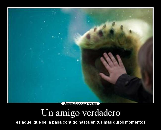 Un amigo verdadero - es aquel que se la pasa contigo hasta en tus más duros momentos