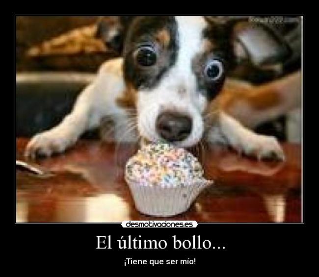 El último bollo... - ¡Tiene que ser mío!