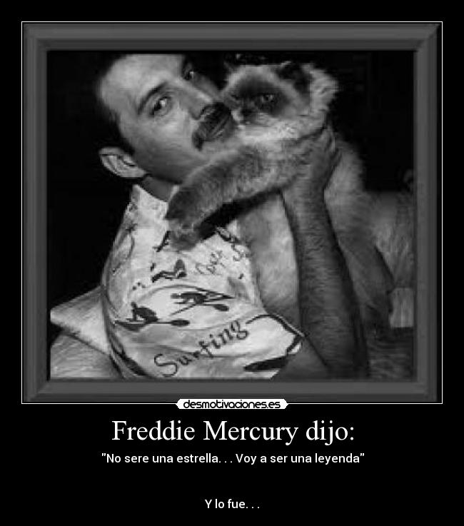 Freddie Mercury dijo: - No sere una estrella. . . Voy a ser una leyenda
Y lo fue. . .