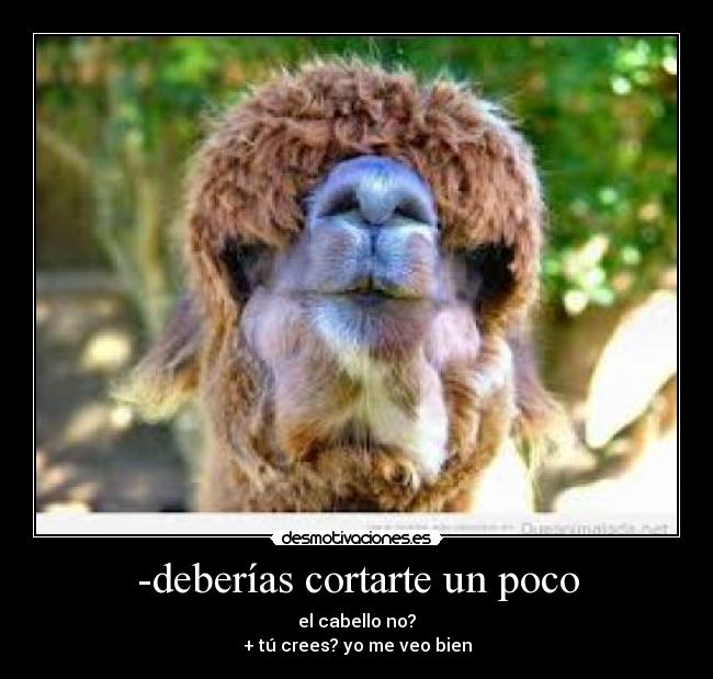 -deberías cortarte un poco - el cabello no?
+ tú crees? yo me veo bien