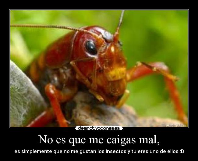 No es que me caigas mal, - es simplemente que no me gustan los insectos y tu eres uno de ellos :D