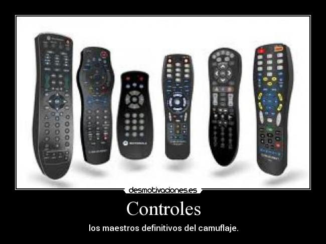 Controles - los maestros definitivos del camuflaje.
