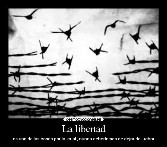 La libertad - es una de las cosas por la  cual , nunca deberíamos de dejar de luchar