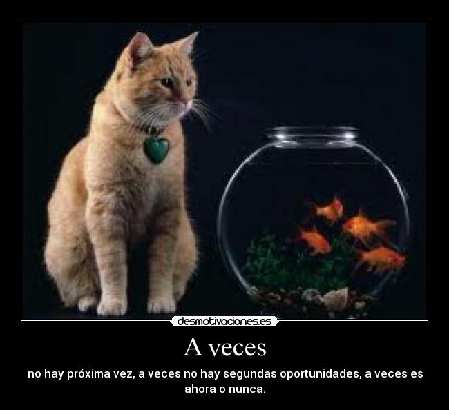 A veces -