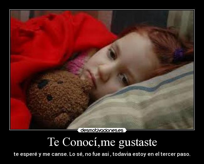 Te Conocí,me gustaste -