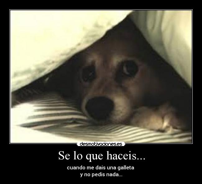 Se lo que haceis... - 