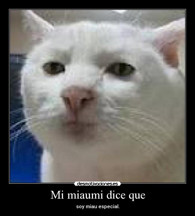 Mi miaumi dice que - soy miau especial.