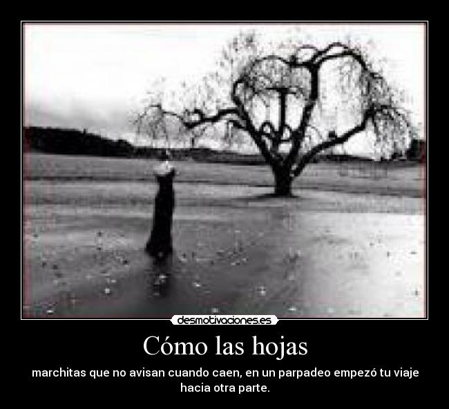 Cómo las hojas - marchitas que no avisan cuando caen, en un parpadeo empezó tu viaje
hacia otra parte.