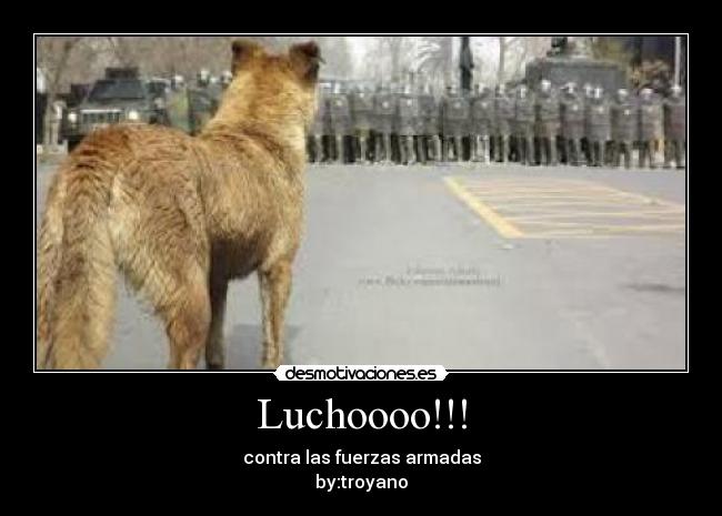 Luchoooo!!! - contra las fuerzas armadas
by:troyano