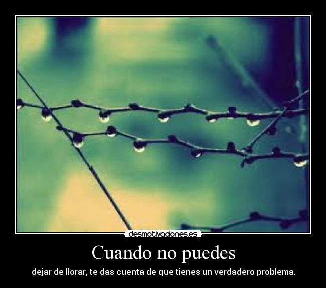 Cuando no puedes - dejar de llorar, te das cuenta de que tienes un verdadero problema.