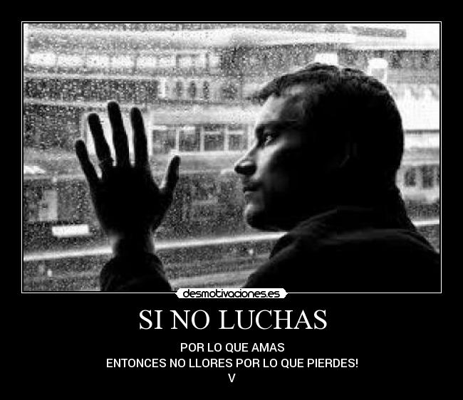 SI NO LUCHAS -