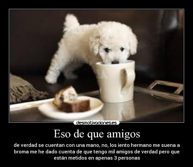 Eso de que amigos -
