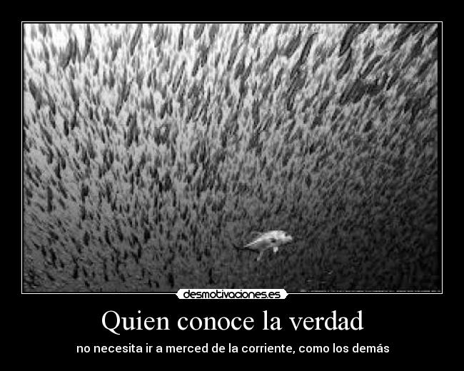 Quien conoce la verdad -