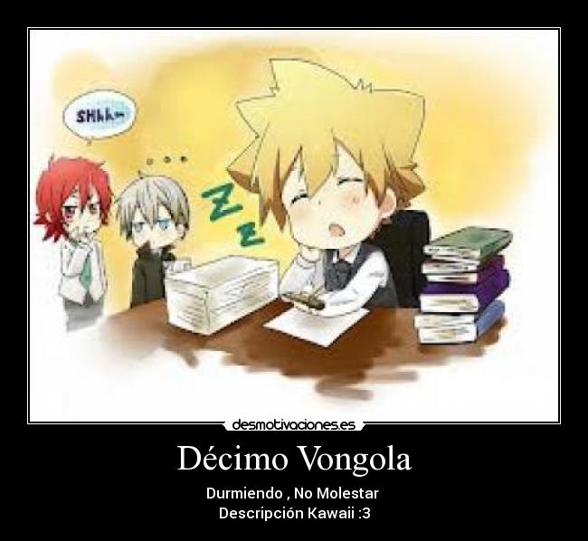 Décimo Vongola - Durmiendo , No Molestar 
Descripción Kawaii :3