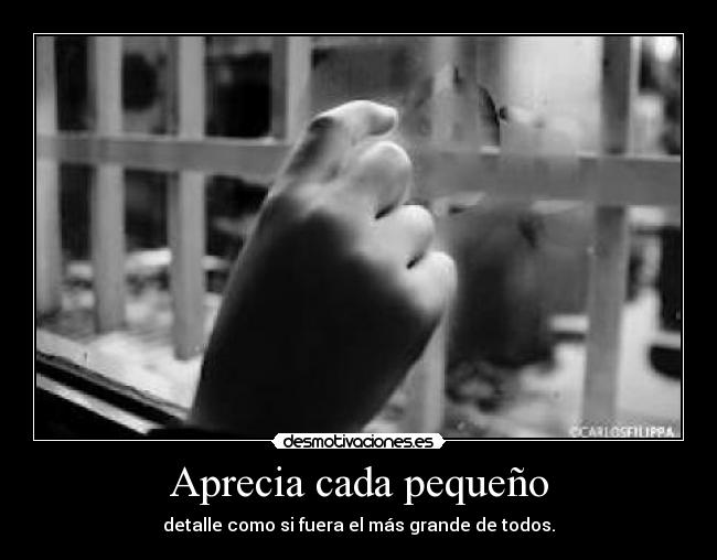 Aprecia cada pequeño - detalle como si fuera el más grande de todos.