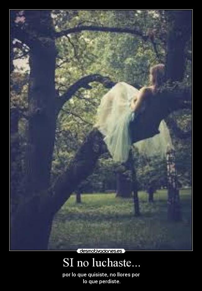 SI no luchaste... - por lo que quisiste, no llores por
lo que perdiste.