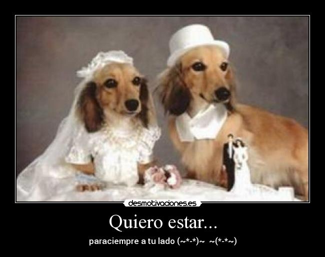 Quiero estar... - paraciempre a tu lado (~*-*)~ ~(*-*~)