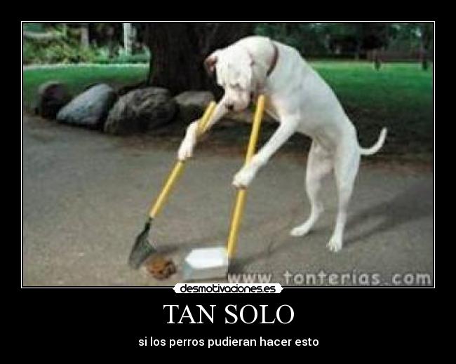 TAN SOLO -