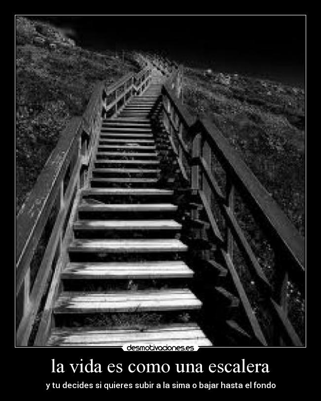 la vida es como una escalera - y tu decides si quieres subir a la sima o bajar hasta el fondo