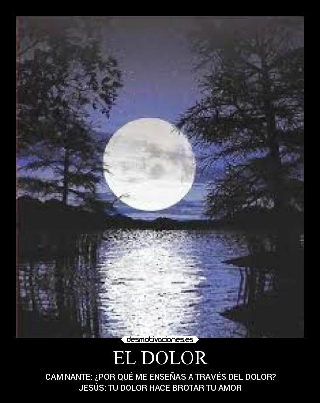 EL DOLOR - CAMINANTE: ¿POR QUÉ ME ENSEÑAS A TRAVÉS DEL DOLOR?
JESÚS: TU DOLOR HACE BROTAR TU AMOR