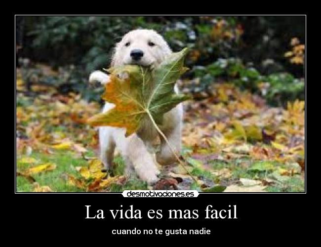 La vida es mas facil - 