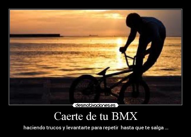 carteles bu3n0 proteina desmotivaciones