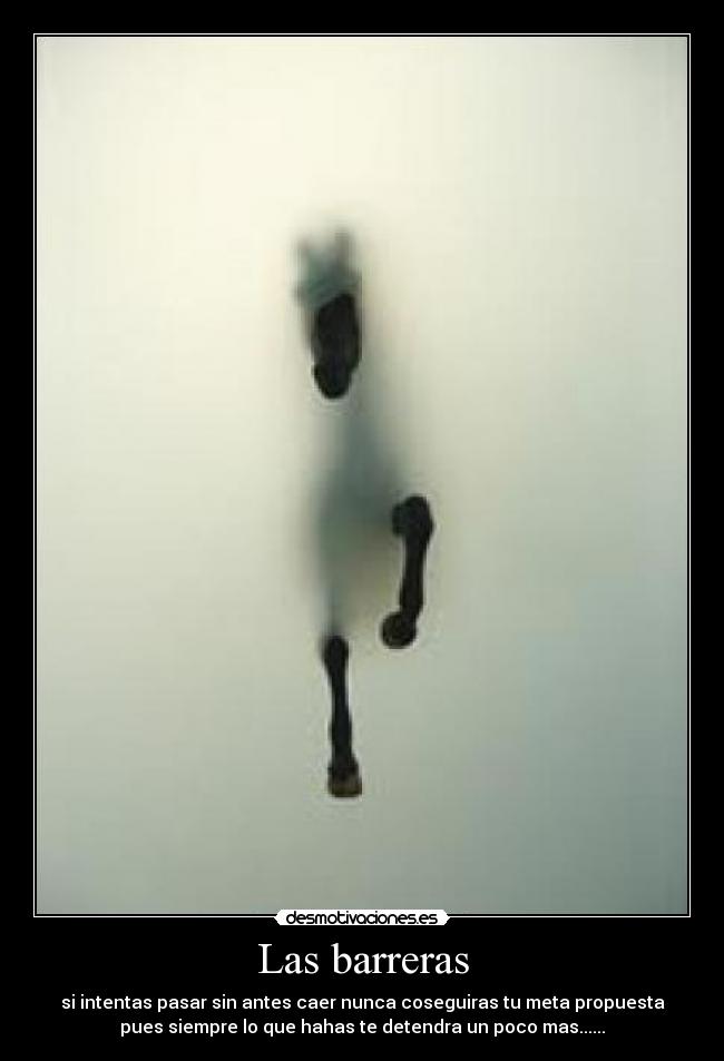 carteles fdfd desmotivaciones