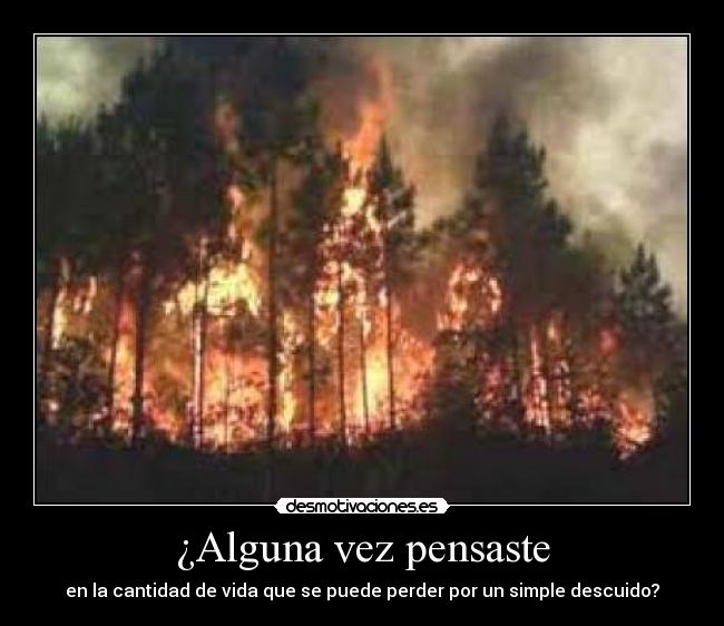 ¿Alguna vez pensaste - en la cantidad de vida que se puede perder por un simple descuido?