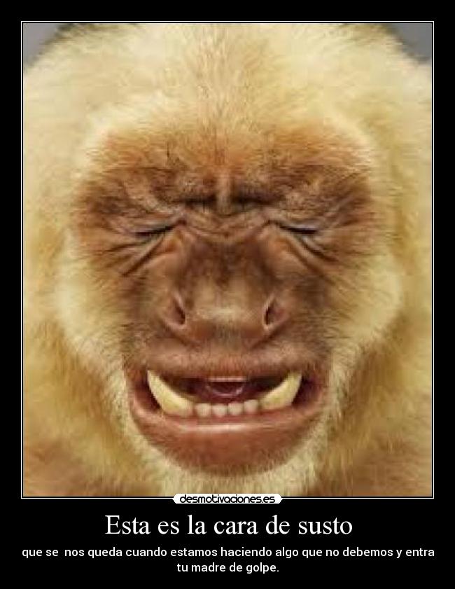 Esta es la cara de susto - que se nos queda cuando estamos haciendo algo que no debemos y entra
tu madre de golpe.