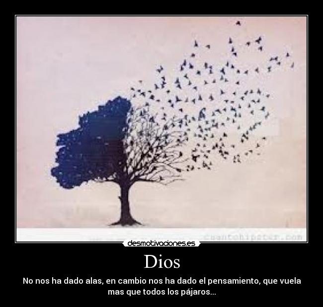 Dios - 