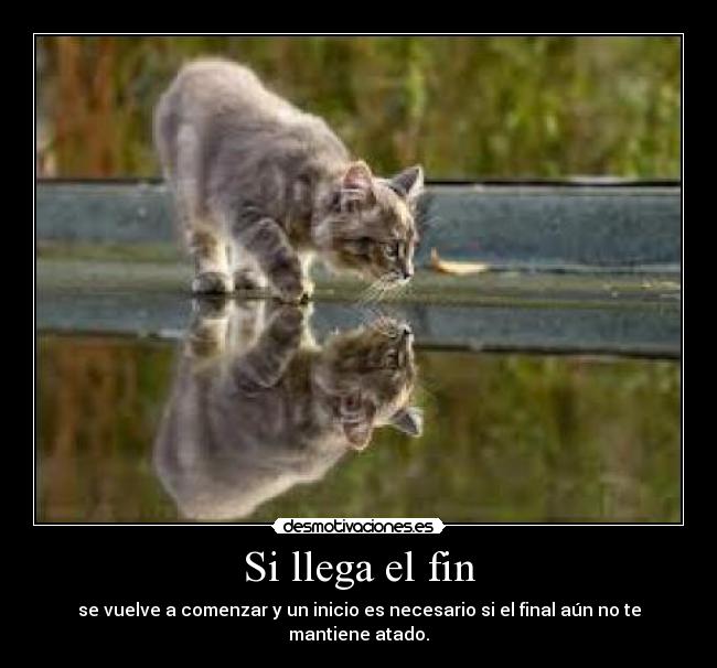 Si llega el fin - se vuelve a comenzar y un inicio es necesario si el final aún no te mantiene atado.