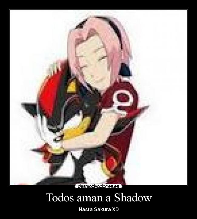 carteles everybody love shadow desmotivaciones