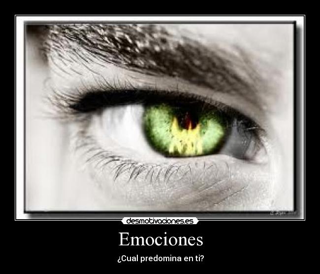 Emociones - ¿Cual predomina en ti?