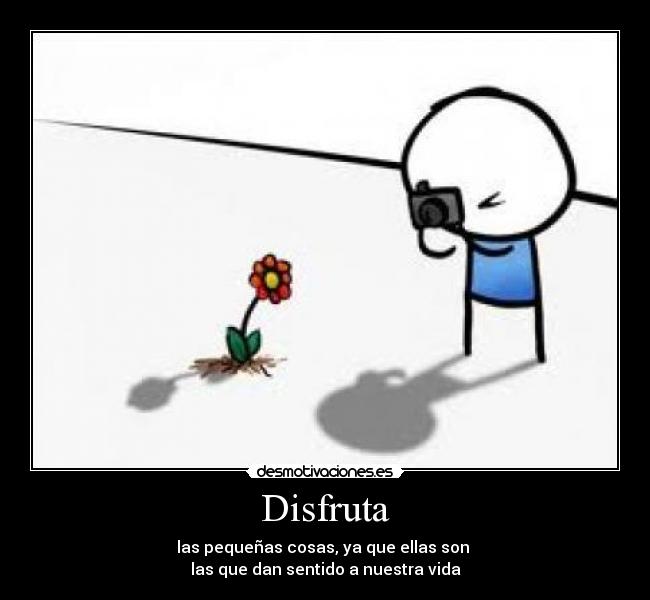 Disfruta -