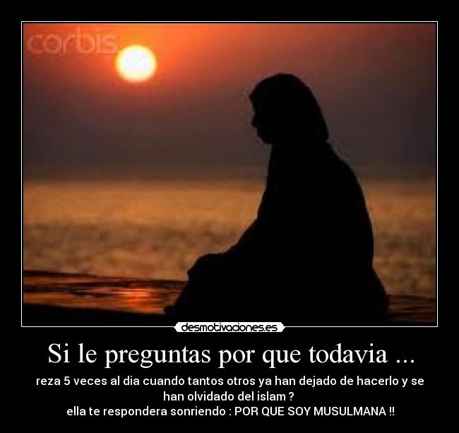 carteles islamagica desmotivaciones