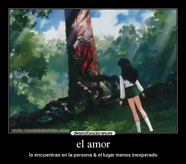 el amor - 