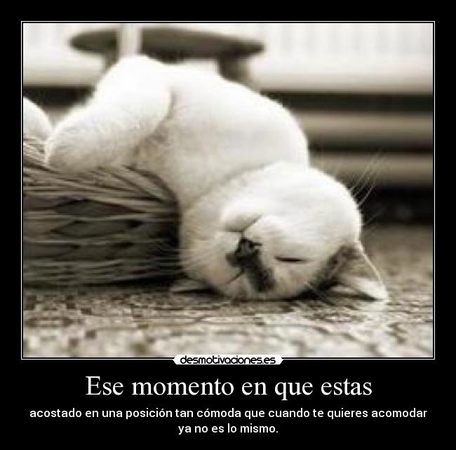 Ese momento en que estas - acostado en una posición tan cómoda que cuando te quieres acomodar
ya no es lo mismo.
