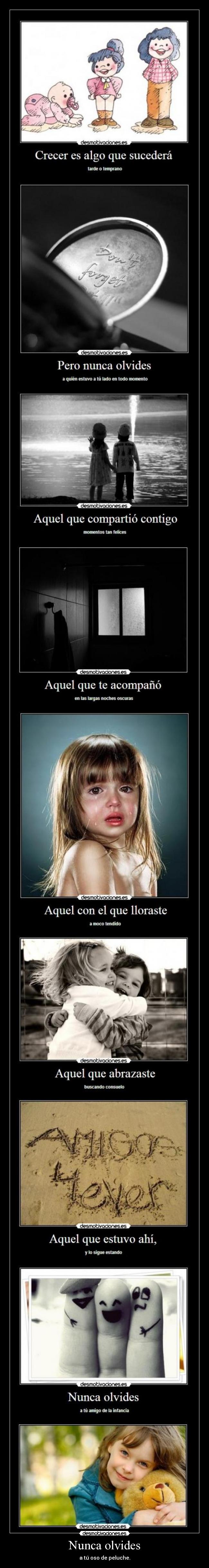 Nunca olvides - a tú oso de peluche.