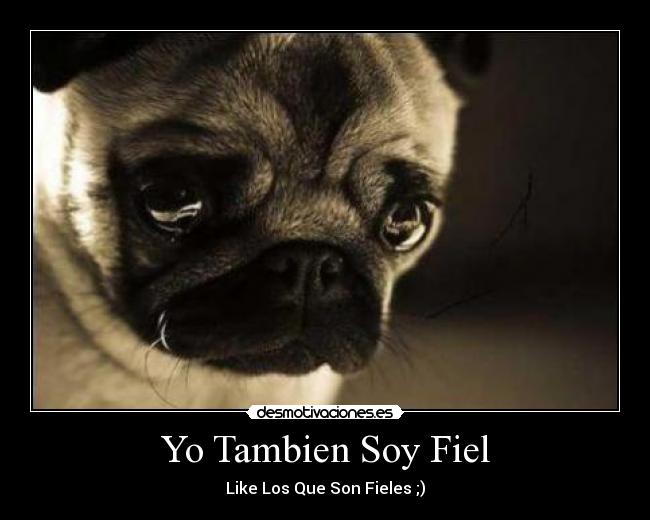 Yo Tambien Soy Fiel - 