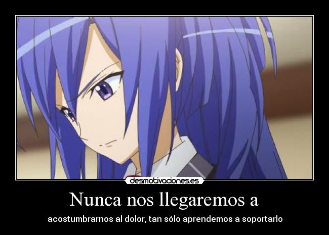 Nunca nos llegaremos a -