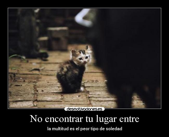 No encontrar tu lugar entre - 