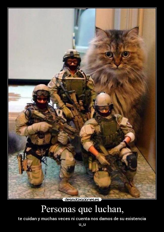 carteles jenniro desmotivaciones