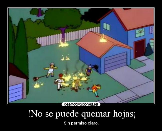 !No se puede quemar hojas¡ - Sin permiso claro.
