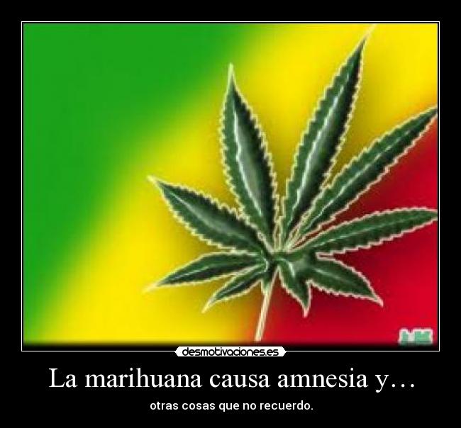 La marihuana causa amnesia y… - otras cosas que no recuerdo.