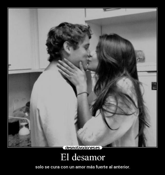 carteles desamor desamor desmotivaciones