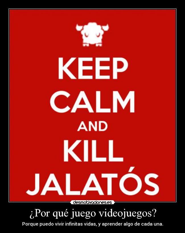 carteles videojuegos videojuegos jalatos dofus rpg fps vida desmotivaciones