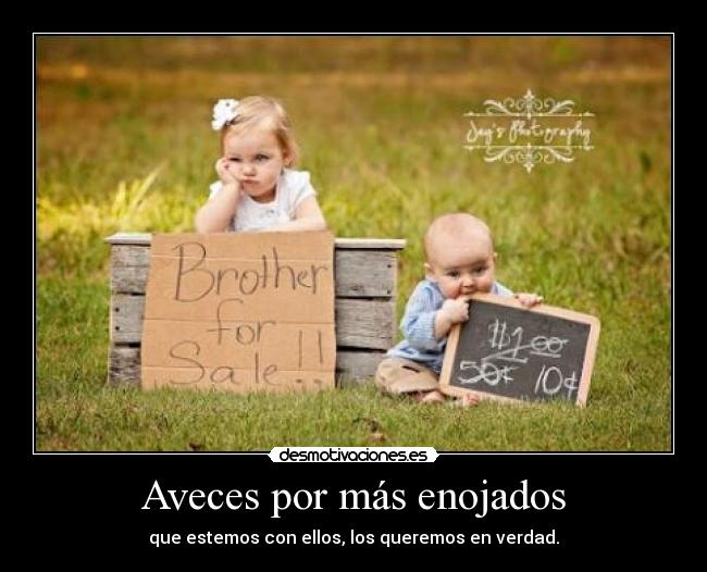 carteles hermanos desmotivaciones